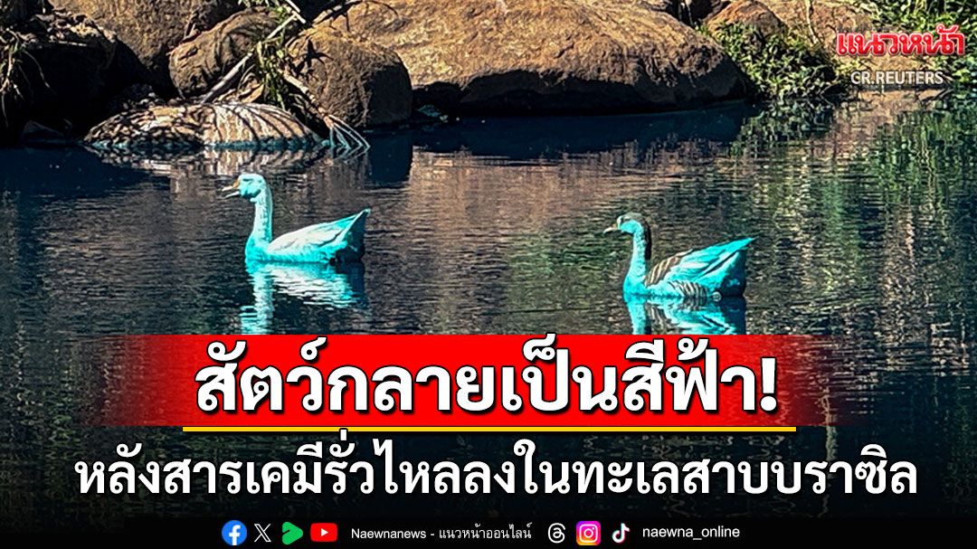 ชาวบราซิลช็อก! สัตว์กลายป็นสีฟ้า หลังพบสารเคมีรั่วไหลลงในทะเลสาบ