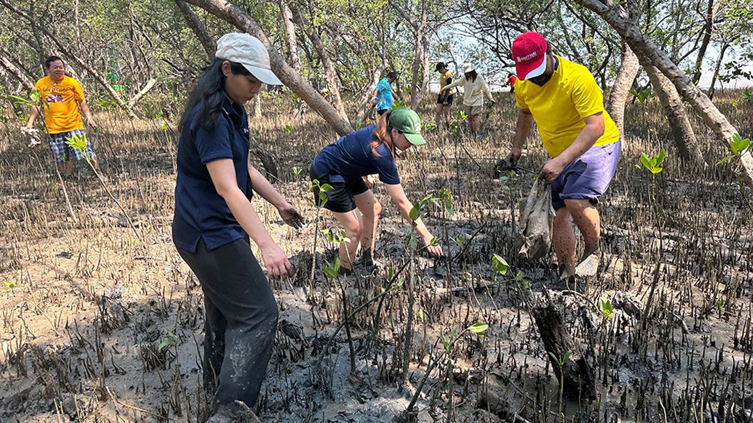 'กลุ่มบริษัทยูนิไทย'ร่วมฟื้นฟูระบบนิเวศป่าชายเลน เนื่องในวันคุ้มครองโลก
