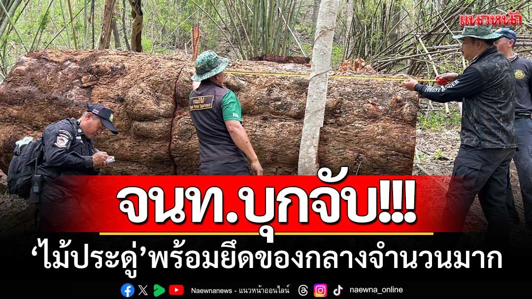 จนท.ป่าไม้-ทหารพราน ‘บุกจับไม้ประดู่’ พร้อมยึดของกลางได้จำนวนมาก
