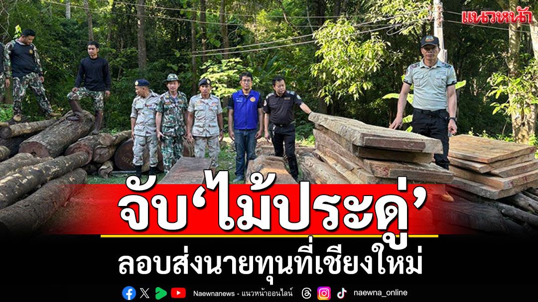 แม่ฮ่องสอนจับ'ไม้ประดู่'เมืองปาย ลอบส่งนายทุนที่เชียงใหม่