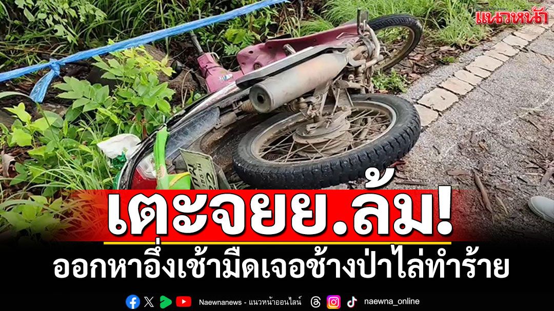 หนุ่มใหญ่ออกหาอึ่งเช้ามืด! เจอช้างป่าไล่ทำร้าย ตกท่อระบายน้ำดับ