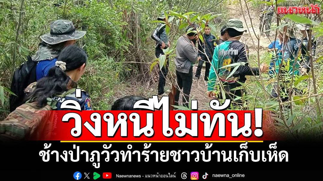 สลด! ช้างป่าภูวัวทำร้ายชาวบ้าน เสียชีวิตขณะเก็บเห็ด