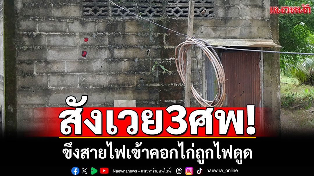 สังเวย3ศพ! ครอบครัวขึงสายไฟเข้าคอกไก่ พลาดถูกดูด-เข้าช่วยดูดซ้ำ