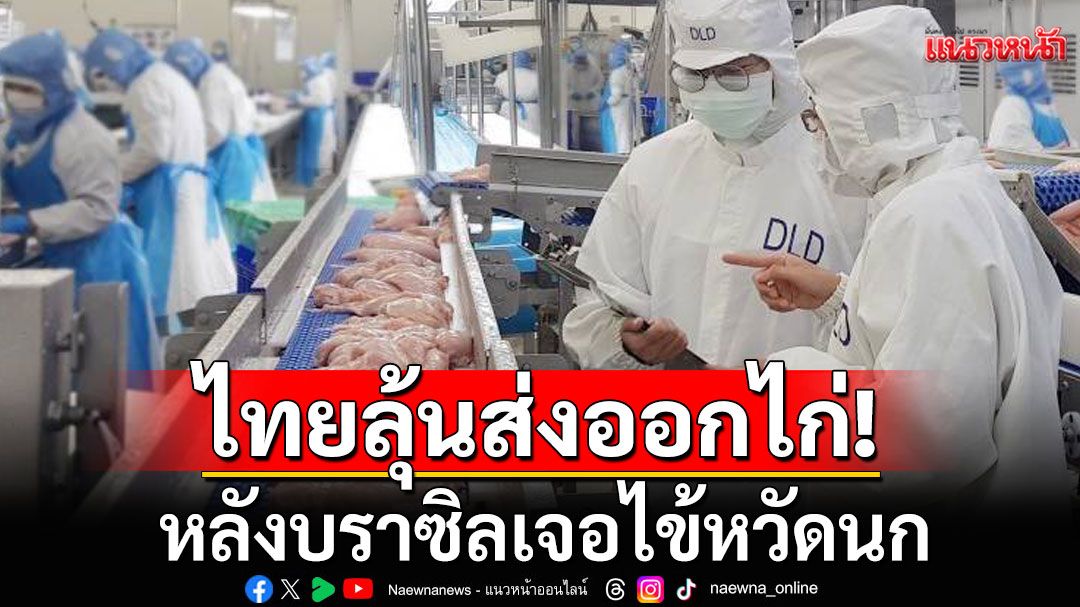 ไทยหวัง! ลุ้นส่งออกไก่หลังบราซิลเจอไข้หวัดนก กรมปศุสัตว์ย้ำระบบป้องกันโรคแน่นหนา