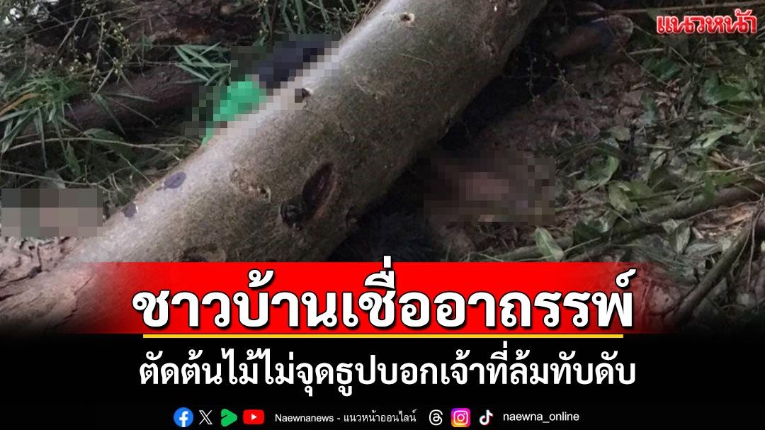 ชาวบ้านเชื่ออาถรรพ์! หนุ่มตัดต้นมะเดื่อไม่จุดธูปบอกกล่าวเจ้าที่ล้มทับดับ