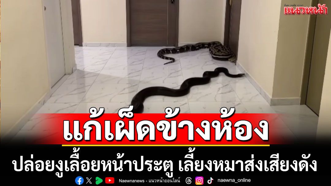 แก้เผ็ดข้างห้อง! ปล่อยงูเลื้อยหน้าประตู เลี้ยงหมาส่งเสียงดัง (คลิป)