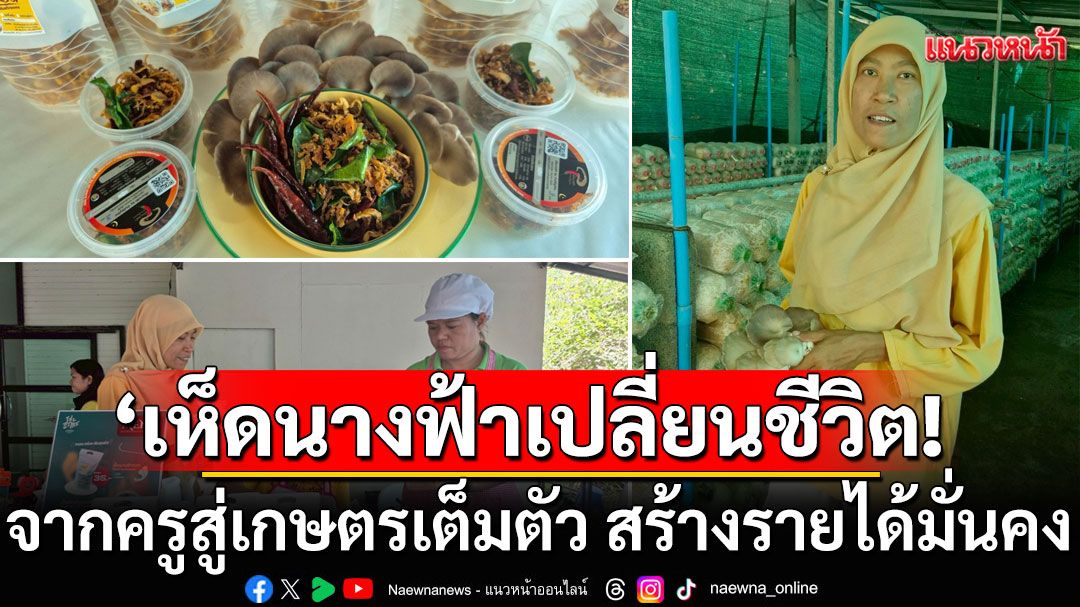 'เห็ดนางฟ้า'พาเปลี่ยนชีวิต! จากครูท้องถิ่นสู่เกษตรเต็มตัว สร้างรายได้มั่นคง แบ่งปันโอกาสให้ชุมชน