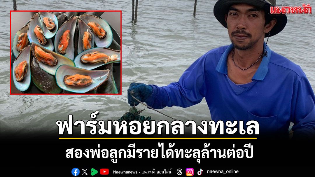 หอยแมลงภู่หยงสตาร์สร้างเศรษฐี! สองพ่อลูกชาวตรังฟันรายได้ปีละล้าน เลี้ยงกลางทะเลสู้คลื่นลม