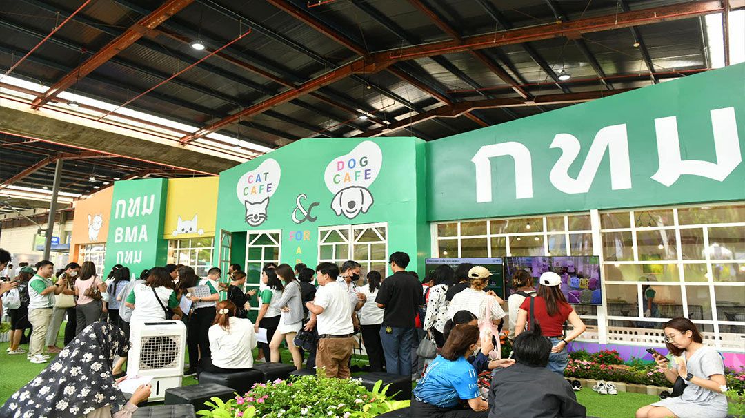 กทม.โชว์ผลลัพธ์งาน BKK EXPO 2025 คนกรุงร่วมตรวจการบ้านเกือบ 6 หมื่น