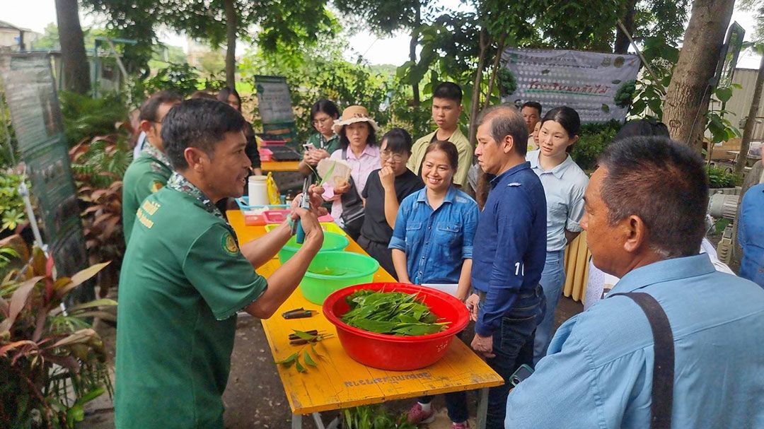 ศูนย์พัฒนาอาชีพปทุมฯต่อยอด แจก 47 ล้านกล้าไม้ทั่วประเทศ