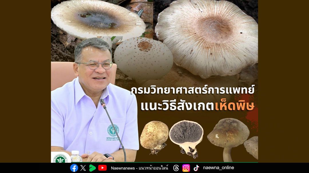 กรมวิทย์ฯ เตือนอันตรายจากเห็ดพิษช่วงหน้าฝน  แนะวิธีสังเกตเห็ดพิษ บางชนิดคล้ายกับเห็ดที่รับประทานได้