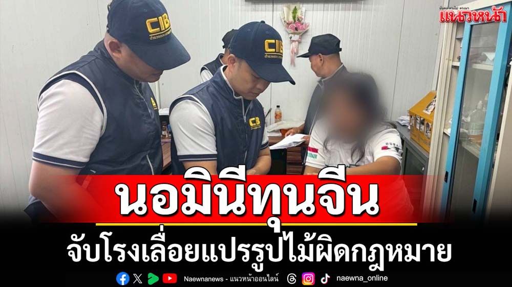 จับโรงเลื่อยนอมินีทุนจีนแปรรูปไม้ผิดกฎหมาย