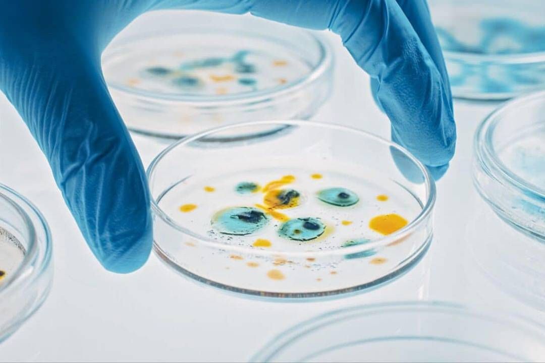 Science Update : พบ ‘จุลินทรีย์พันธุ์ใหม่’ บนสถานีอวกาศเทียนกง