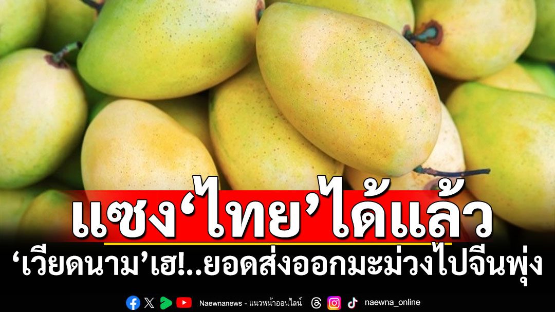 ‘เวียดนาม’ได้เฮ! ไตรมาสแรกปีนี้ส่งออกมะม่วงเข้าจีนพุ่งแซงไทย