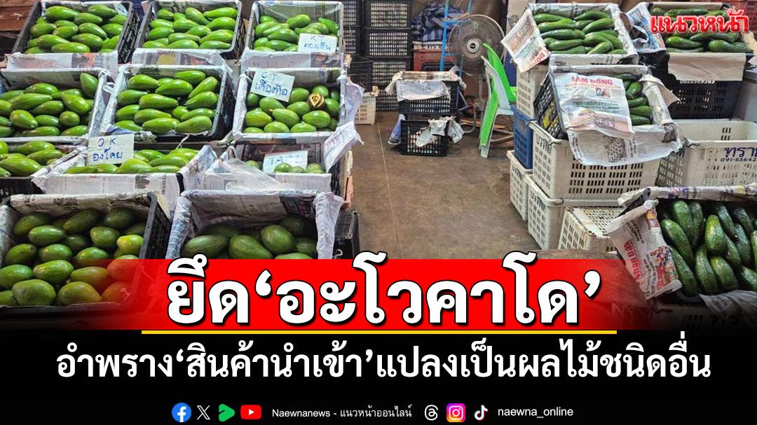 ยึด'อะโวคาโด'กว่า 10.5 ตัน อำพราง'สินค้านำเข้า'แปลงเป็นผลไม้ชนิดอื่น