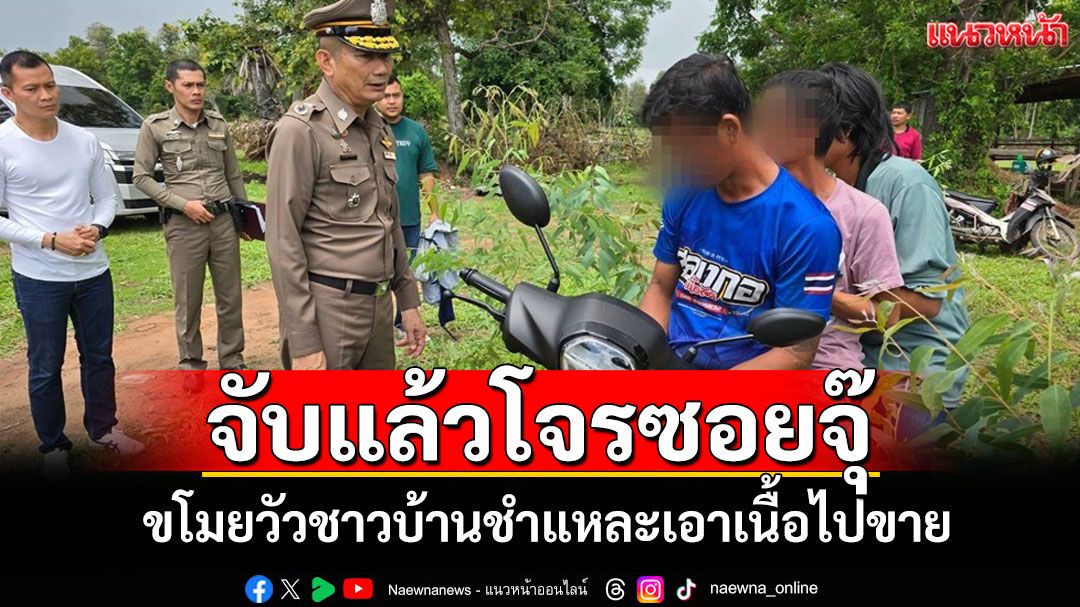 จับแล้ว 3 โจรซอยจุ๊ขโมยวัวชาวบ้านชำแหละเอาเนื้อไปขาย 'ผบก.บุรีรัมย์'คุมทำแผนเอง