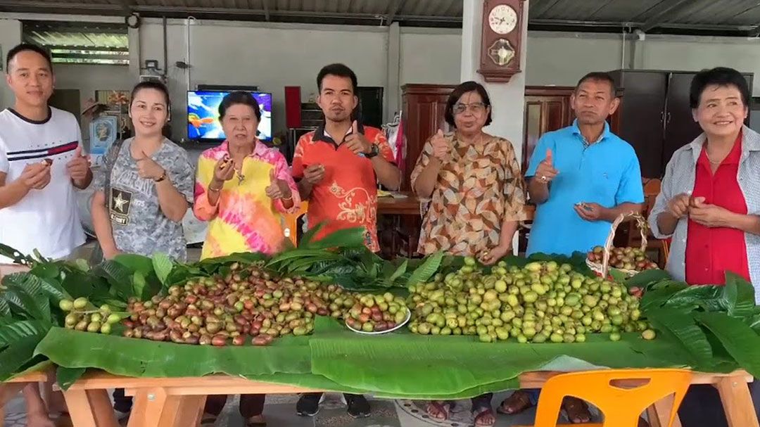 เกษตรกรลำไยคริสตัลใจป้ำ เปิดชิมฟรีไม่อั้น-แถมลดราคา