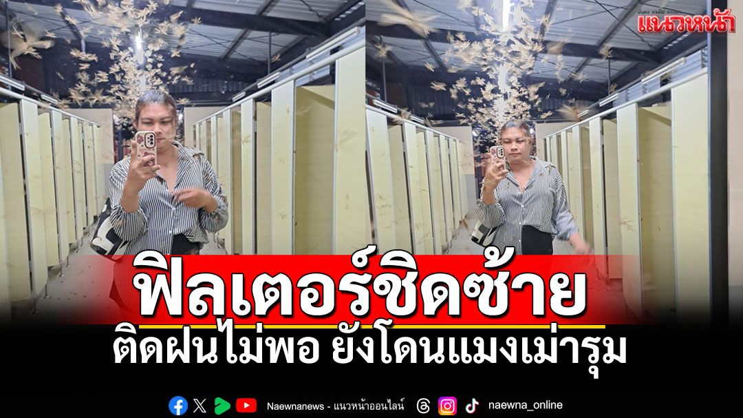 ไวรัลทะลุ9ล้าน! 'เรยา'เจอดีแมลงเม่ารุม กลายเป็นเอฟเฟกต์ธรรมชาติ ชาวเน็ตแซวสนั่น'ฟิลเตอร์เริ่ดมาก'