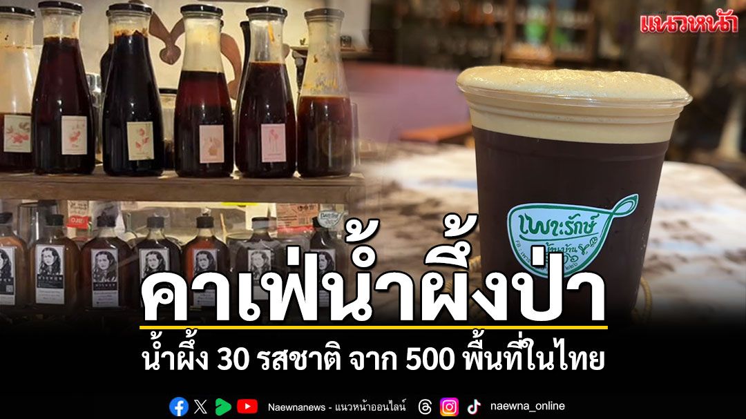 คาเฟ่น้ำผึ้งป่าสไตล์บ้านๆ มีน้ำผึ้ง 30 รสชาติ จาก 500 พื้นที่ในไทย