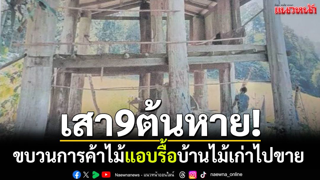 เสา9ต้นหาย! ขบวนการค้าไม้ รื้อบ้านไม้เก่าไปขาย