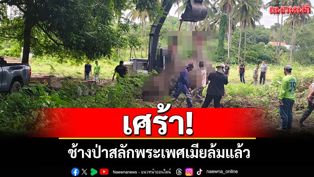 เศร้า!ช้างป่าสลักพระเพศเมียล้มแล้ว คาดป่วยด้วยวัยชรา