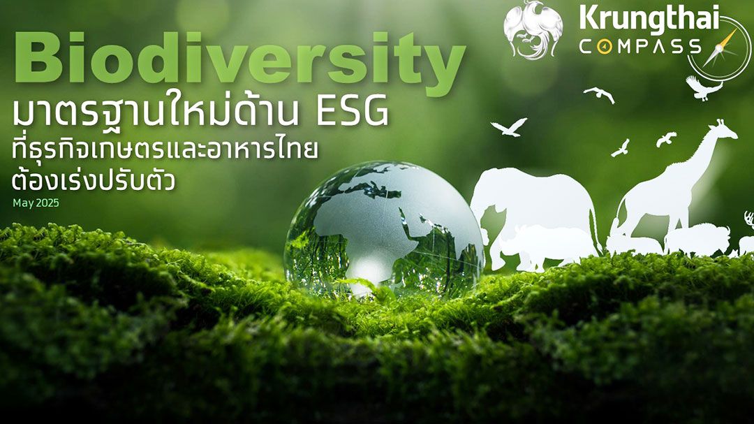 กรุงไทยชี้ เทรนด์ Biodiversity มาแรง ประเมินกระทบมูลค่าส่งออกเกษตรและอาหารกว่า 6 หมื่นล้าน