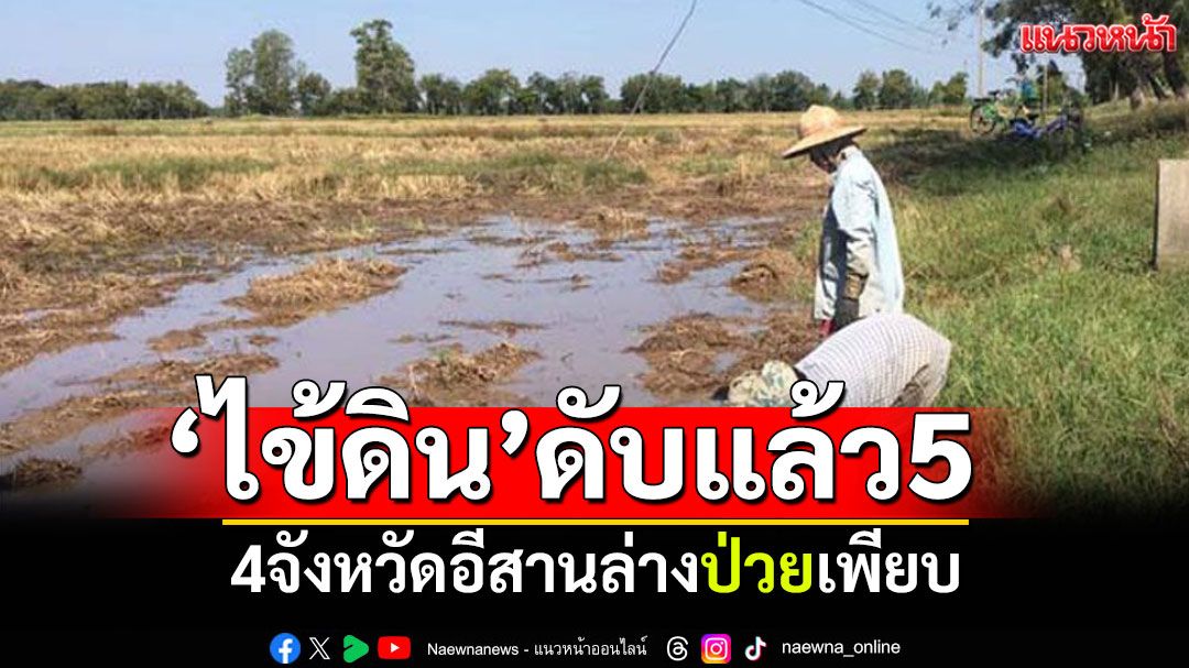 'โรคไข้ดิน'ดับแล้ว5ราย! 4จังหวัดอีสานล่างป่วย147ราย กลุ่มเสี่ยง'ชาวนา-เกษตรกร'