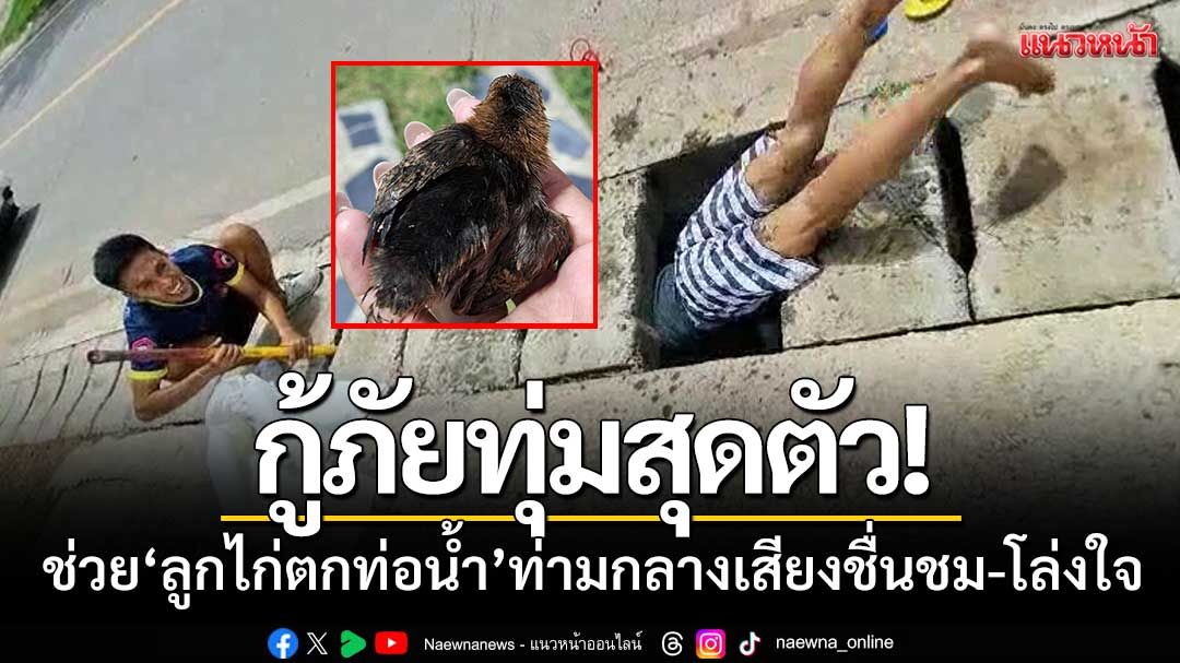 กู้ภัยทุ่มสุดตัว! ‘ช่วยลูกไก่ตกท่อน้ำ’ ท่ามกลางเสียงชื่นชม-โล่งใจชาวบ้าน