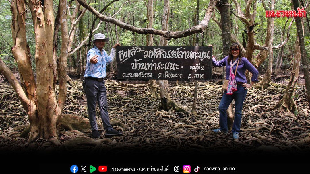 ‘น้อย’ตะลึง.. ! มหัศจรรย์ลานตะบูน รุกขมรดกของแผ่นดิน