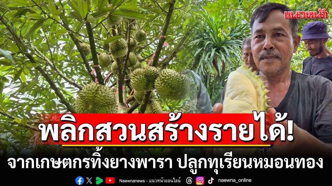 จากเกษตกรที่ทิ้งต้นยางพารา ปลูกทุเรียนหมอนทอง พลิกสวนสร้างรายได้งาม