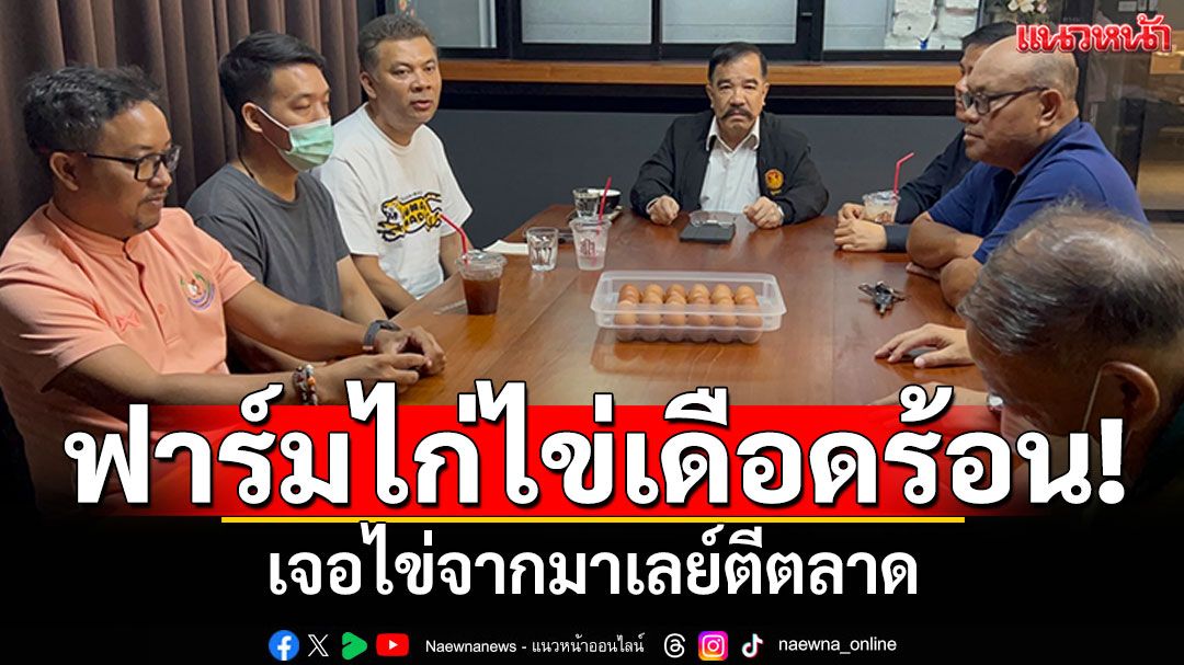 ร้องสว.ช่วยด่วน! ฟาร์มไก่ไข่ภาคใต้เดือดร้อนหนัก ไข่ไก่จากมาเลเซียตีตลาด