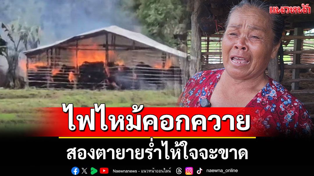 สองตายายร่ำไห้ใจจะขาด ไฟไหม้คอกควายที่เลี้ยงไว้ ตาย 10 ตัว