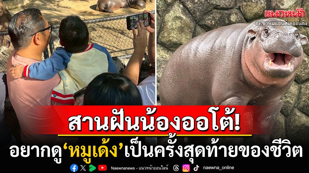 สานฝันเด็กชายวัย6ขวบป่วยมะเร็งระยะสุดท้าย อยากดู'หมูเด้ง'เป็นครั้งสุดท้ายของชีวิต