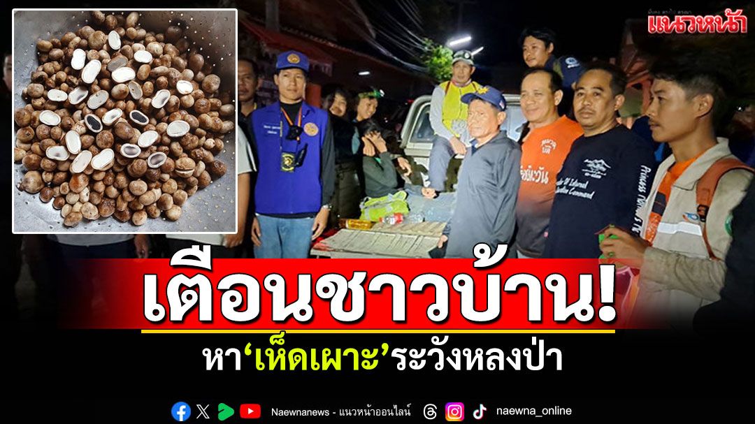 เตือนชาวบ้าน! ช่วงฤดูฝนหา'เห็ดเผาะ'ระวังหลงป่า