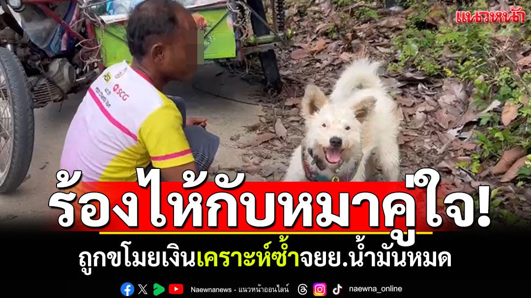 ถูกขโมยเงิน! เคราะห์ซ้ำรถน้ำมันหมด นั่งร้องไห้ริมถนนกับสุนัขคู่ใจ