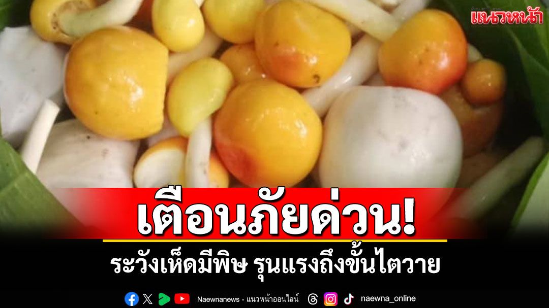 แพทย์เตือนภัยด่วน! ระวังเห็ดมีพิษหลังชาวขุนยวม-แม่ฮ่องสอนกินเข้าไปถูกหามส่ง รพ.หลายราย