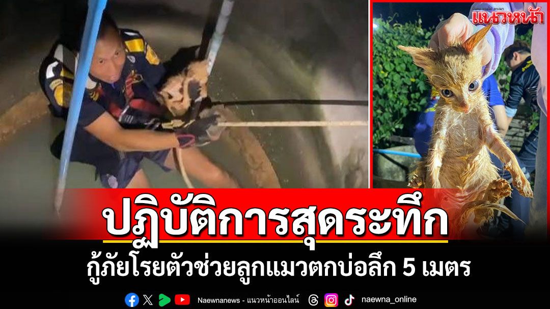 ปฏิบัติการสุดระทึก! กู้ภัยพะเยาโรยตัวกลางดึกช่วยลูกแมวรอดหวุดหวิดในบ่อลึก 5 เมตร