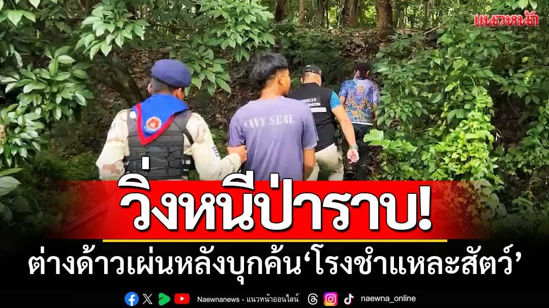 วิ่งหนีป่าราบ! ‘บุกค้นโรงชำแหละสัตว์’ พบมีการค้ามนุษย์-ต่างด้าวลอบทำงาน