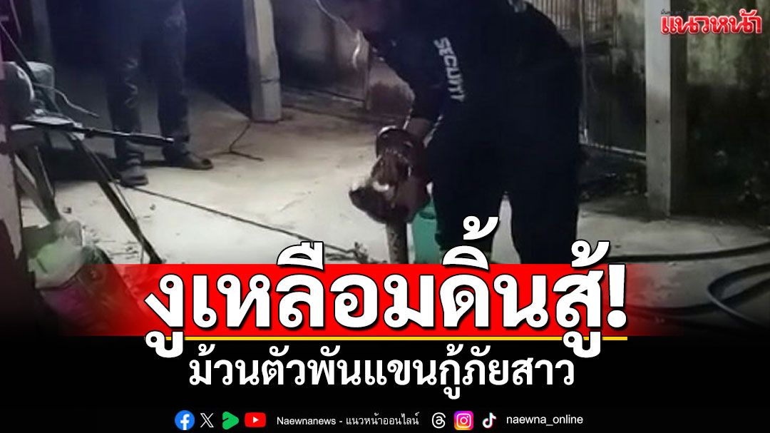 จับกลางดึก! งูเหลือมเลื้อยซุกขื่อบ้าน งูดิ้นสู้ม้วนตัวพันแขนกู้ภัยสาว