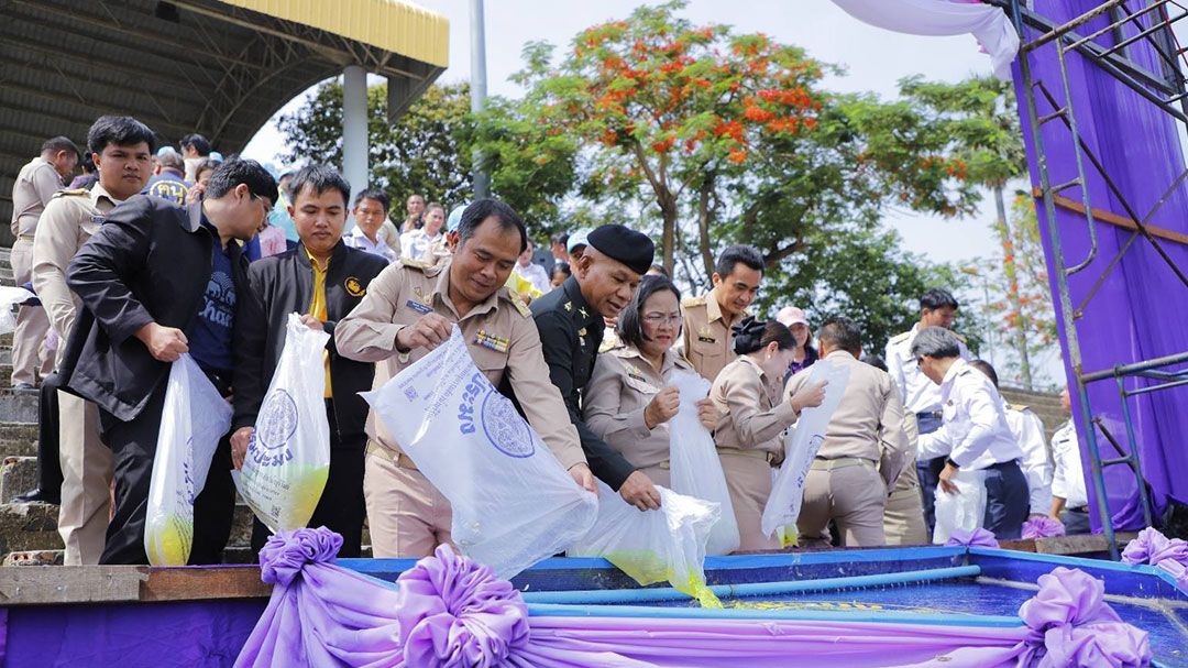 จ.บุรีรัมย์เฉลิมพระเกียรติ จัดพิธีปล่อยพันธุ์สัตว์น้ำพัฒนารักษาระบบนิเวศ