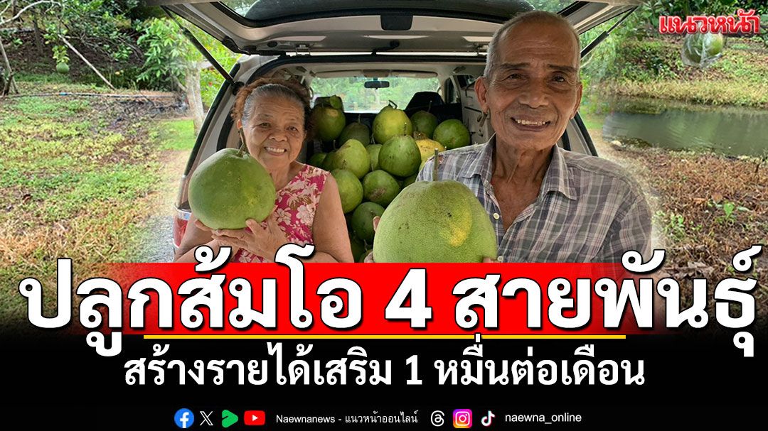 ปลูกส้มโอ 4 สายพันธุ์บนเนื้อที่ 8 ไร่ เก็บขายสร้างรายได้เสริมกว่า 1 หมื่นต่อเดือน