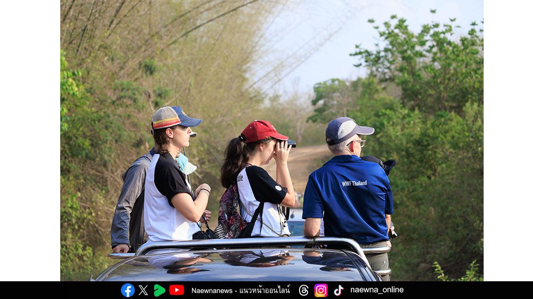 WWF ร่วมมือกับ Agoda สร้างโมเดล Eco Deals  1 ดอลล่าร์ของทุกการจองที่พัก ช่วยชีวิตช้างป่าและสร้างทางรอดให้ชุมชน