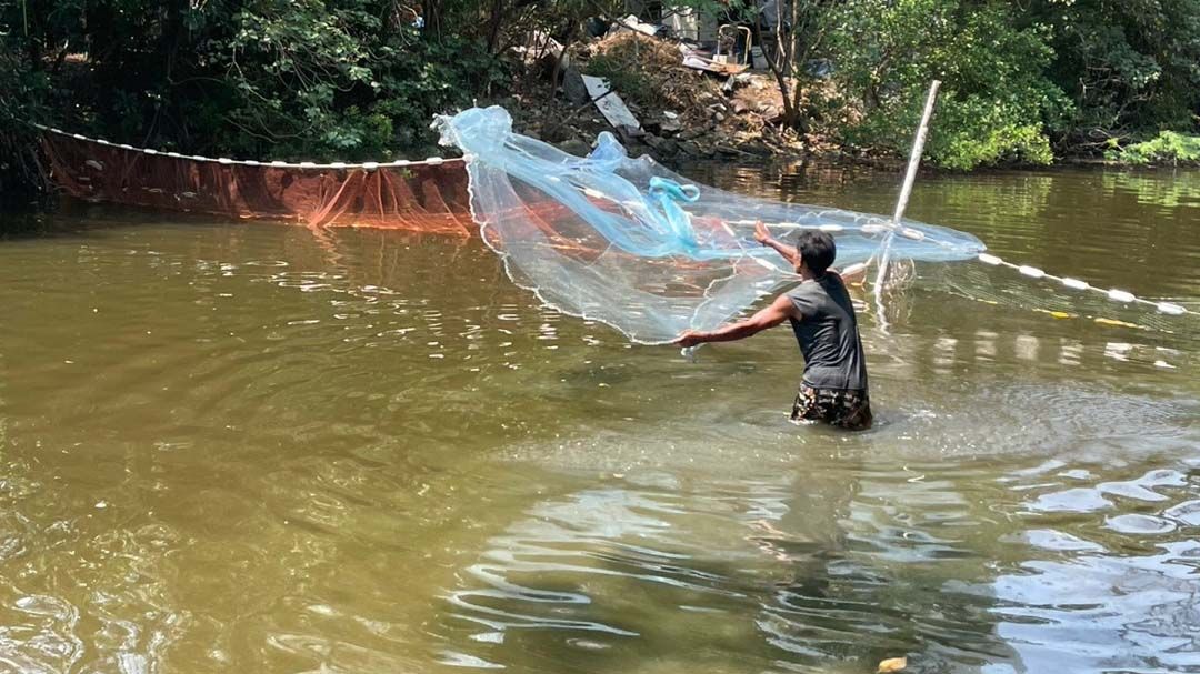 เกษตรกรชี้‘ปลาหมอคางดำ’คือโอกาส พลังของชาวบ้านช่วยปราบ