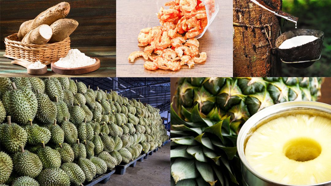 สนค. เผย สินค้าเกษตร - อุตสาหกรรมเกษตร ไทยยังครองแชมป์ในตลาดโลก
