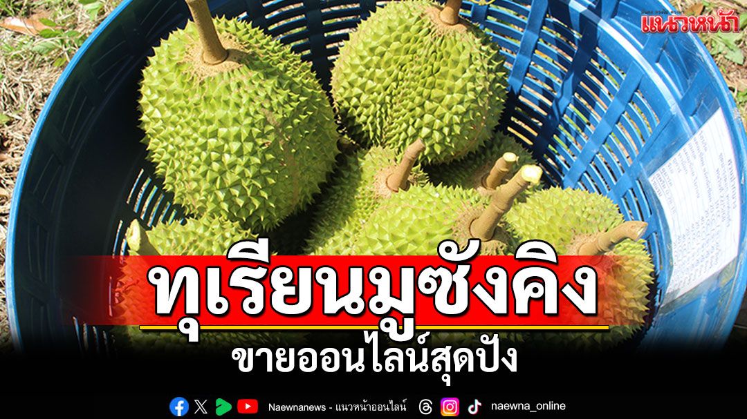 เจ้าของสวนเบตงปลื้ม 'ทุเรียนมูซังคิง'ผลผลิตออกแล้ว ขายออนไลน์สุดปัง