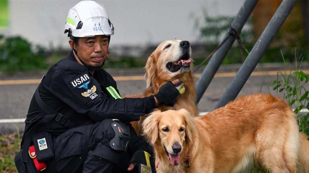 ทรู แชร์พลังหัวใจอาสา ‘เกรียงไกร สุขเกษม’จากวิศวกร สู่ผู้ร่วมภารกิจช่วยชีวิตใต้ซาก‘ตึก สตง.’