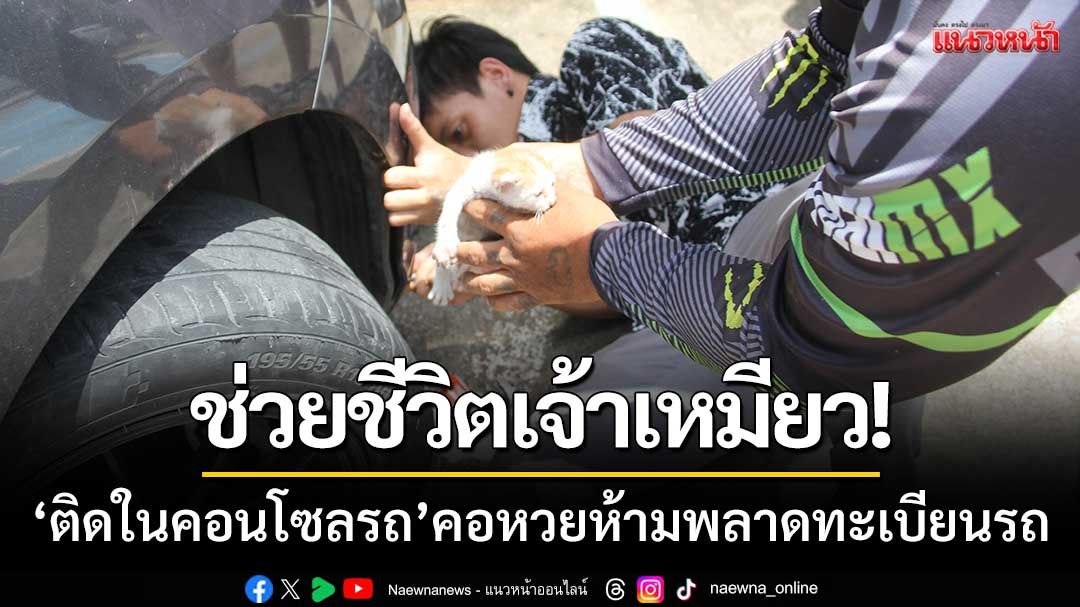 ภารกิจช่วยเจ้าเหมียว! ‘ติดในคอนโซลรถ’ออกมาได้ปลอดภัย-คอหวยห้ามพลาด