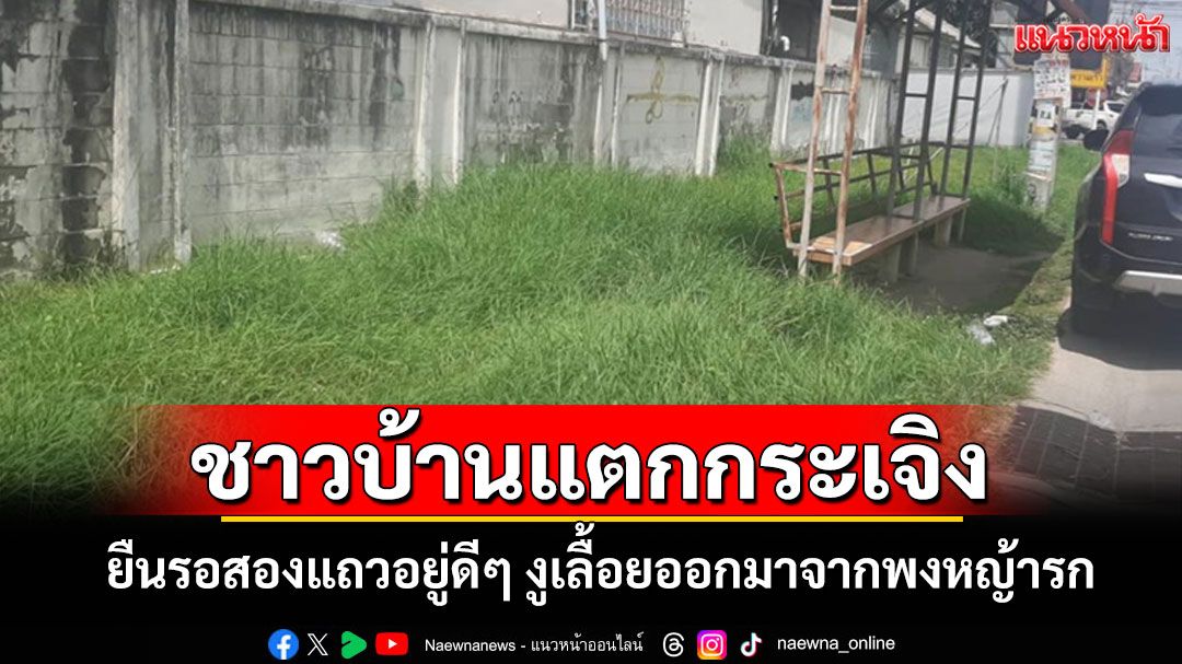 ชาวบ้านแตกกระเจิง! ยืนรอสองแถวที่ป้ายรถในหมู่บ้านจู่ๆ งูเลื้อยออกมาจากพงหญ้ารก