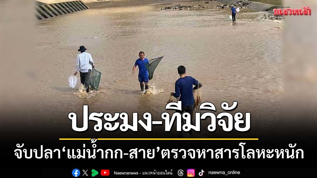ประมง-ทีมวิจัยเชียงราย จับปลา ‘แม่น้ำกก-สาย’ ตรวจหาสารโลหะหนัก