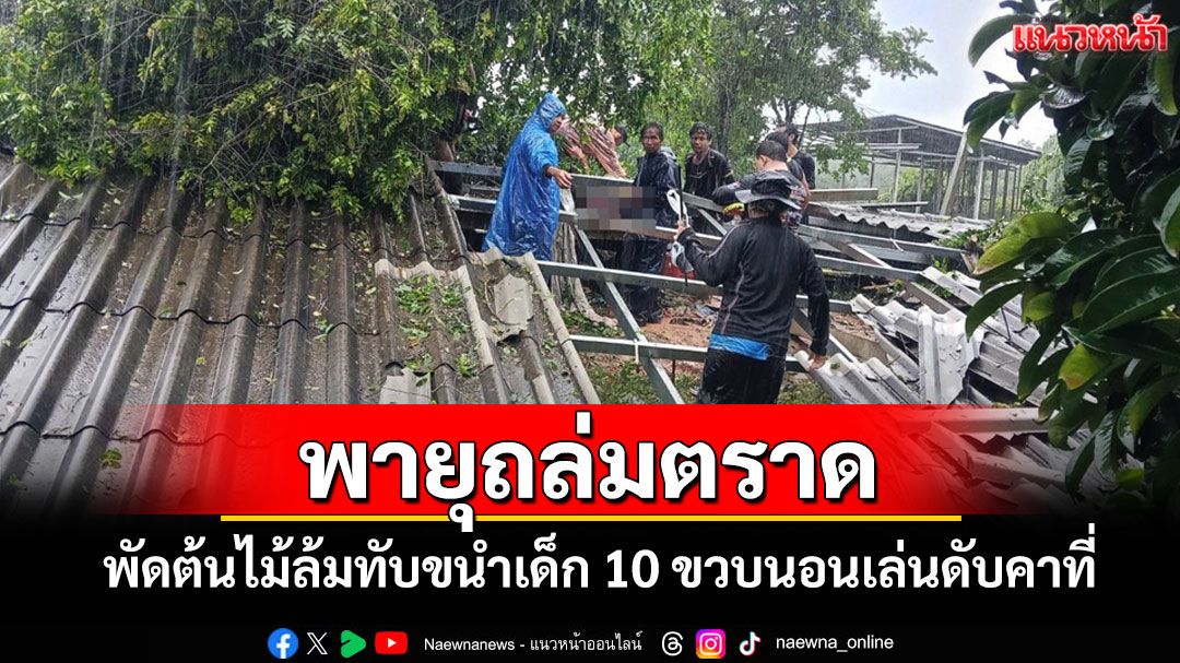 สุดสลด! พายุถล่มตราดพัดต้นไม้ล้มทับขนำเด็ก 10 ขวบนอนเล่นดับคาที่